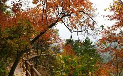 西峡银树沟——八百里伏牛山一幅优美的画卷 门票免费