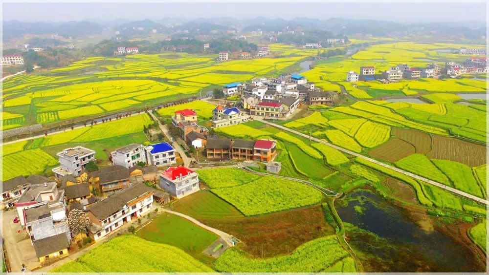 在这里,你看的不仅是演出 还有流光溢彩的风景 天元区三门镇响水村