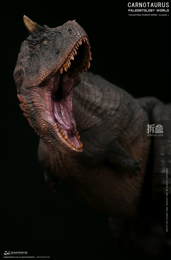 damtoys 博物馆系列 食肉牛龙 carnotaurus 全身场景雕像 普通版,豪华
