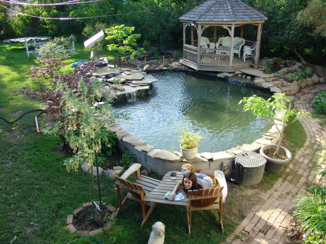 锦鲤鱼池美图,别墅花园中漂亮的锦鲤鱼池.