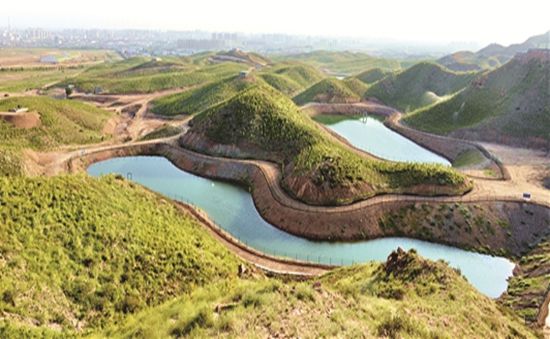 大青山南坡绿化