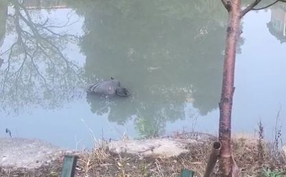 今早杭城河道浮起一具高度腐烂的尸体死者为年轻男性他是谁生前经历了