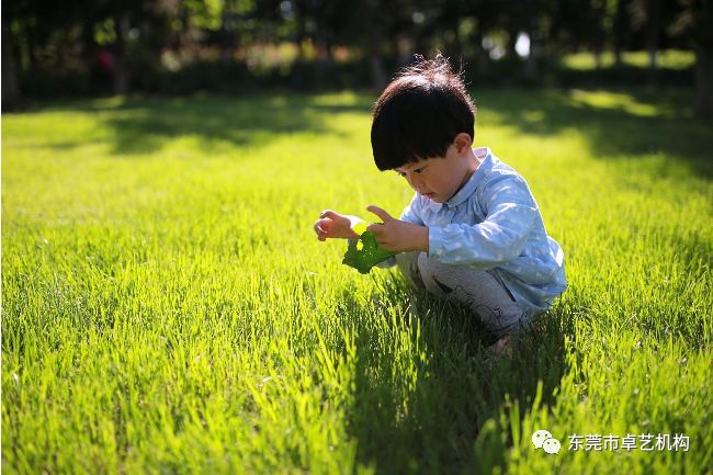 【卓艺现代群星幼儿园】育儿知识分享--2-5岁孩子的行为里程碑