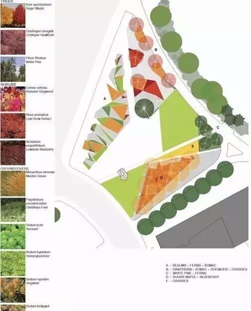 种植分析图要是体现场地植物季相景观,色彩搭配以及种植搭配等不同