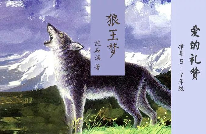 沈石溪描写狼的作品