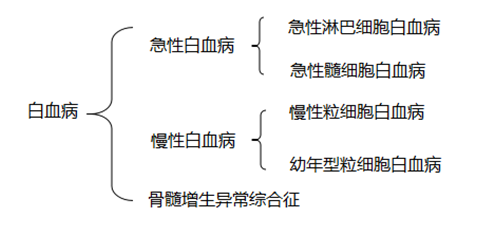 向都人口_人口普查(2)