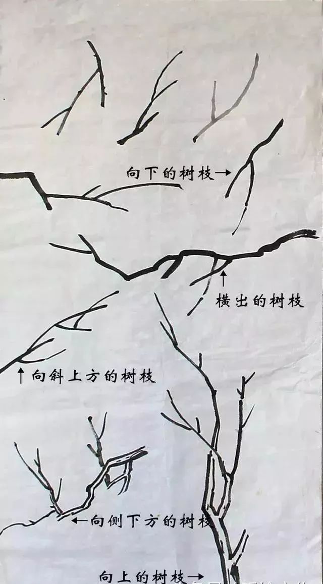 小树丛树和树的整体画法