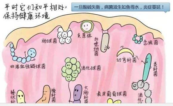 妇科乳酸杆菌少怎么办