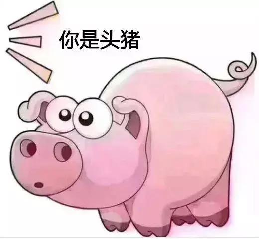 搞笑斗图表情包:你是头七彩猪