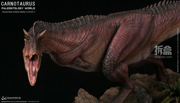 damtoys 博物馆系列 食肉牛龙 carnotaurus 全身场景雕像 普通版,豪华