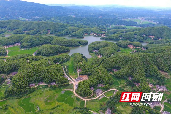 红网时刻 通讯员 杨林海 湘乡报道 水利兴,则仓廪实,农业稳,民安居