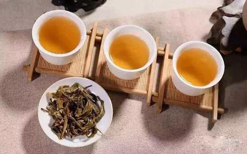 2,性寒的黄茶