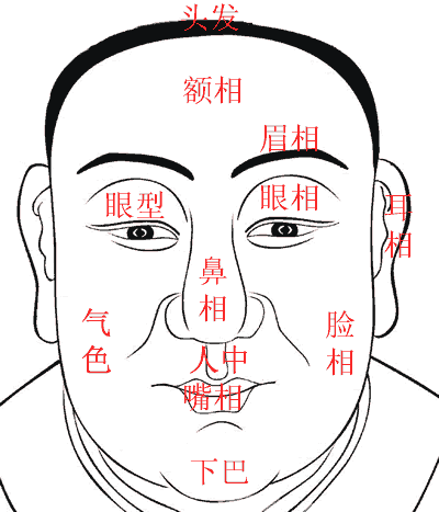 看完图解就能简单识别了