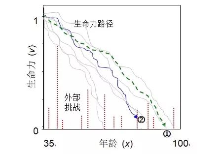 分布人口模型_中国人口分布(2)