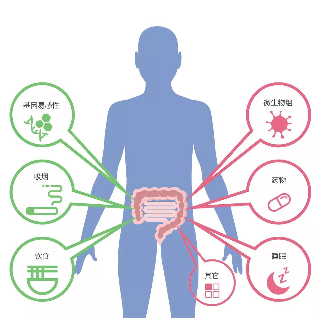 肠道菌群—一个被遗忘的"功能器官"