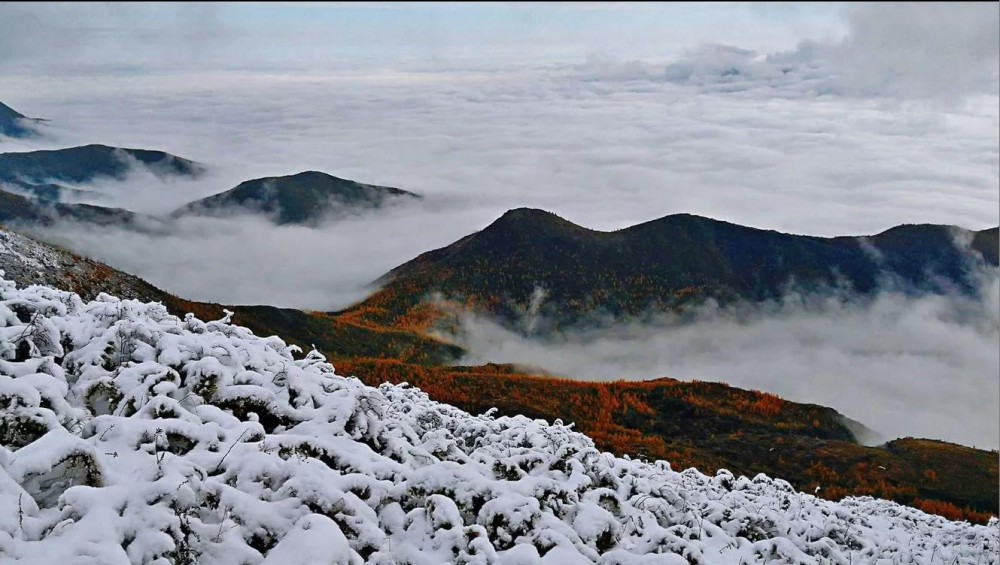 宁夏旅游六盘山当金秋遇上雪