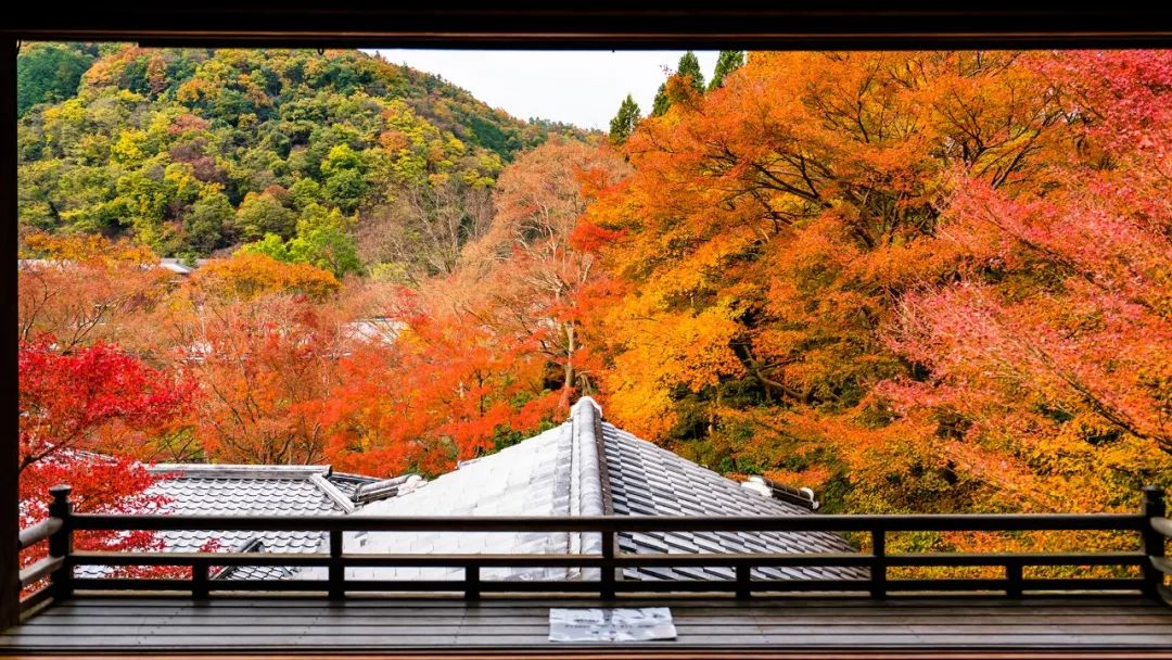 在日本 美食和风景都足够治愈