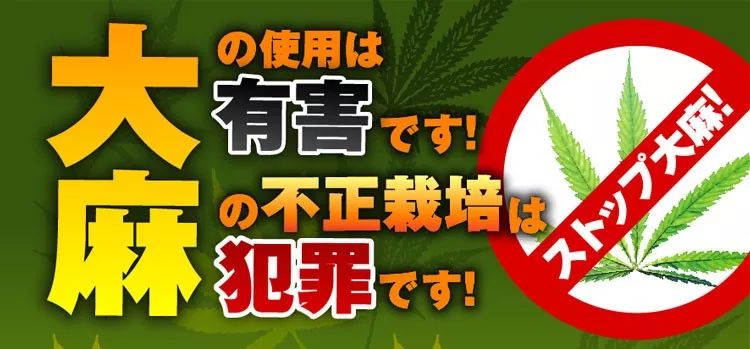 合法 日本 化 大麻