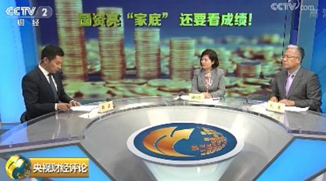 2017国有经济总量_国有经济图