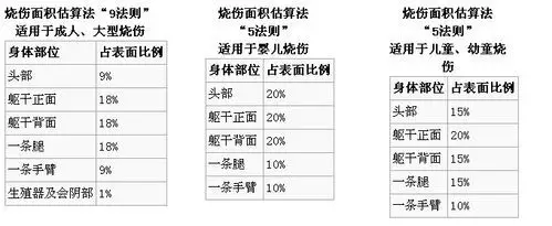 烧伤面积的简单估算方法是按照年龄段的不同,估算的方法也有所不同.