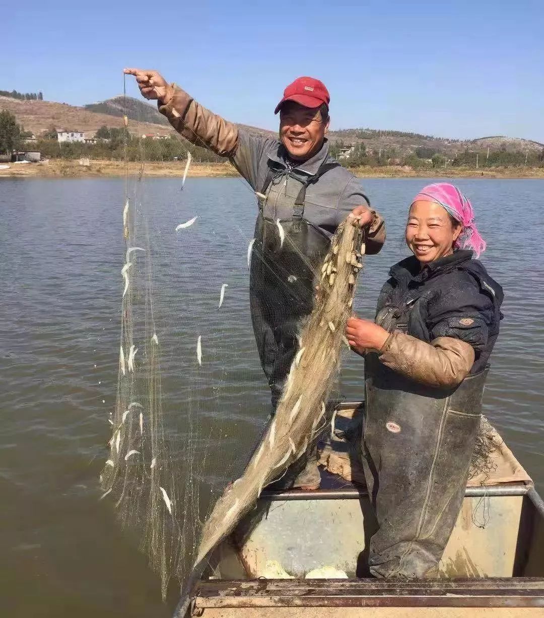 好看好鲜好诱人新泰光明水库大银鱼开捕啦