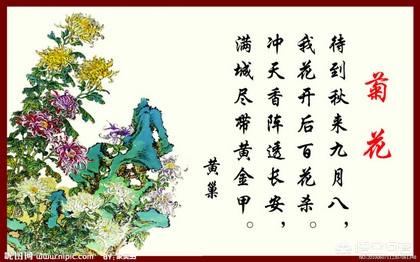 比如唐末起义军头目黄巢的这首《不第后赋菊,杀气腾腾.