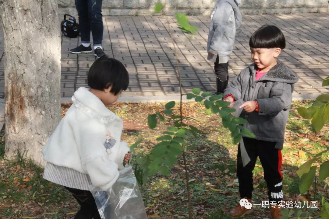 【活动花絮】主题活动"多彩的秋天"(二)——寻找秋天