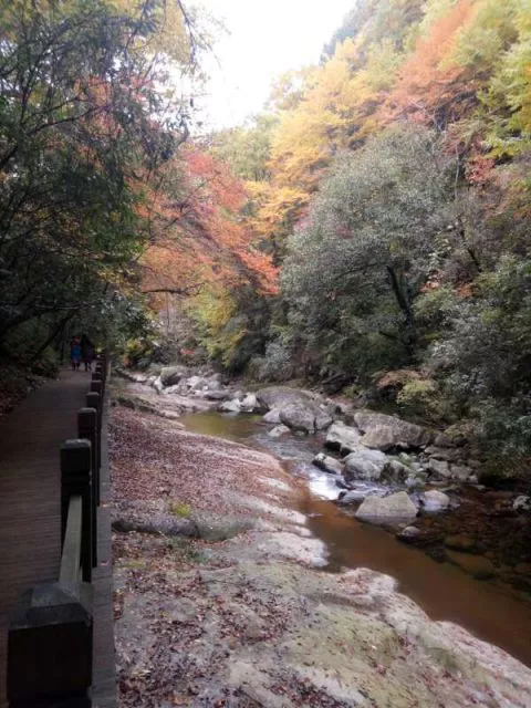 南江县 米仓山国家森林公园十八月潭景区