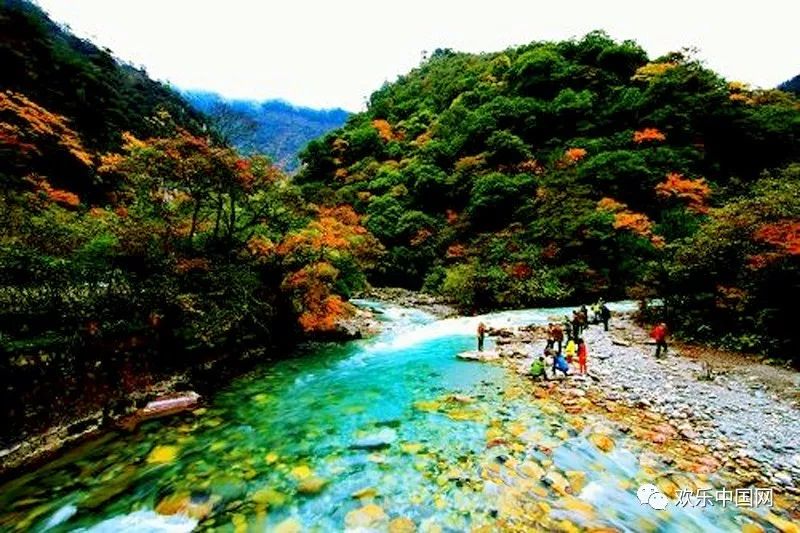 深秋中最璀璨的颜色,尽在芦山大川河