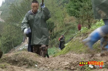 政务 正文  务川自治县茅天镇在脱贫攻坚工作中,围绕"四场硬仗"尽锐