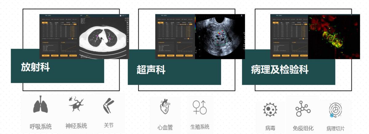 ai 放射影像,超声影像,病理