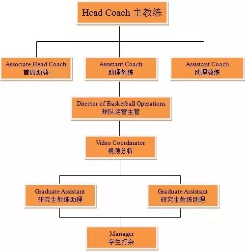 ncaa篮球队职位结构图