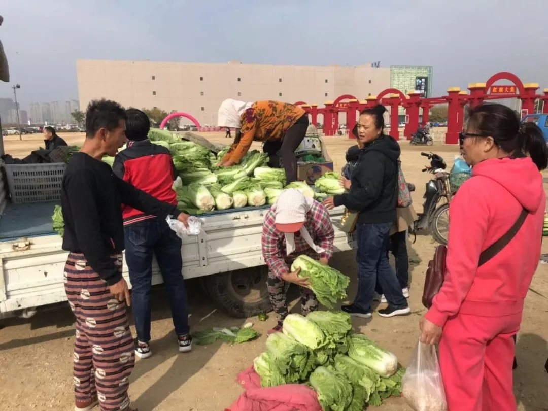 这几位大妈为了挑选到满意的大白菜,一个在车上挑选一个在下面装货.