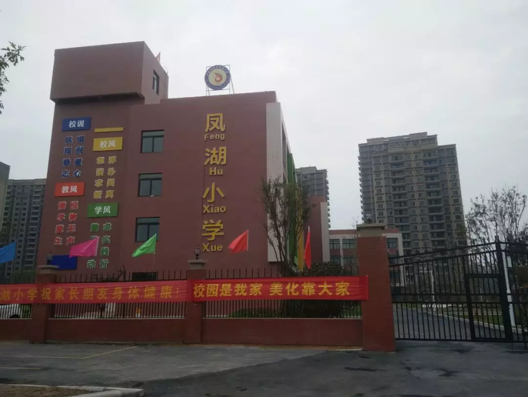 凤湖小学