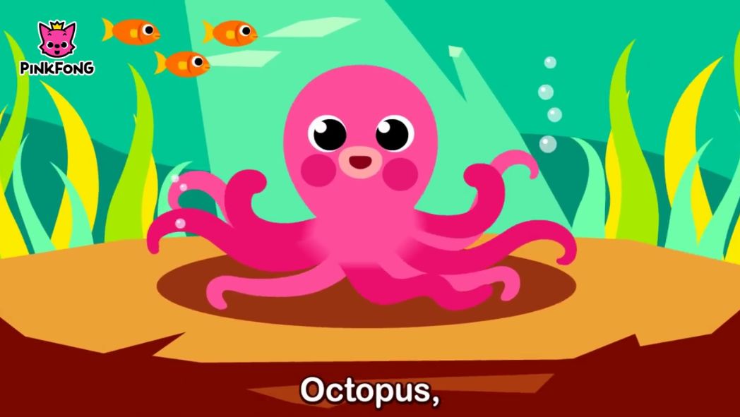 octopus/ɑ:ktps/章鱼