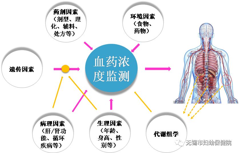 【妇幼科普】血药浓度监测为你量体裁衣啦!_药物