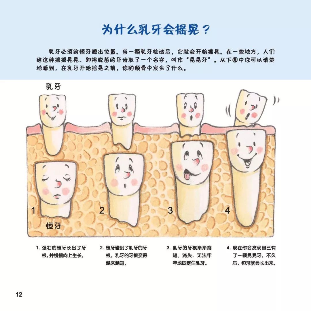 孩子换牙期出现的豁牙,齿缝大,牙齿歪斜的问题,容易使孩子产生自卑