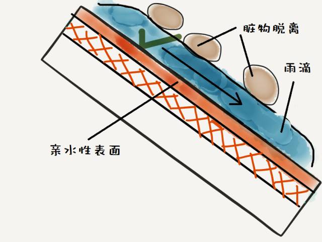 ①普通彩板亲水性能一类是通过提高漆膜的疏水,疏油性,使亲水和亲油性