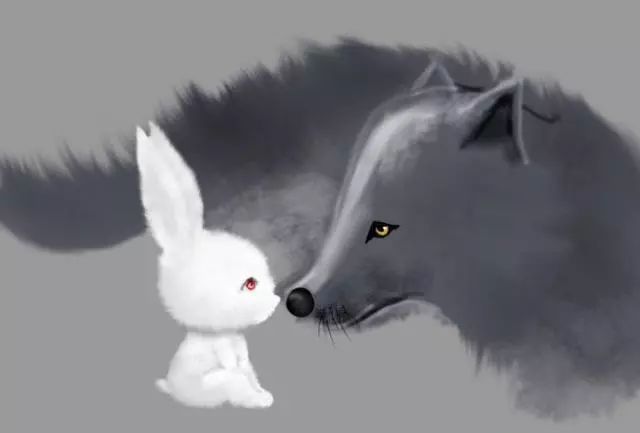 兔子和狼的今生约定故事很长却很感人