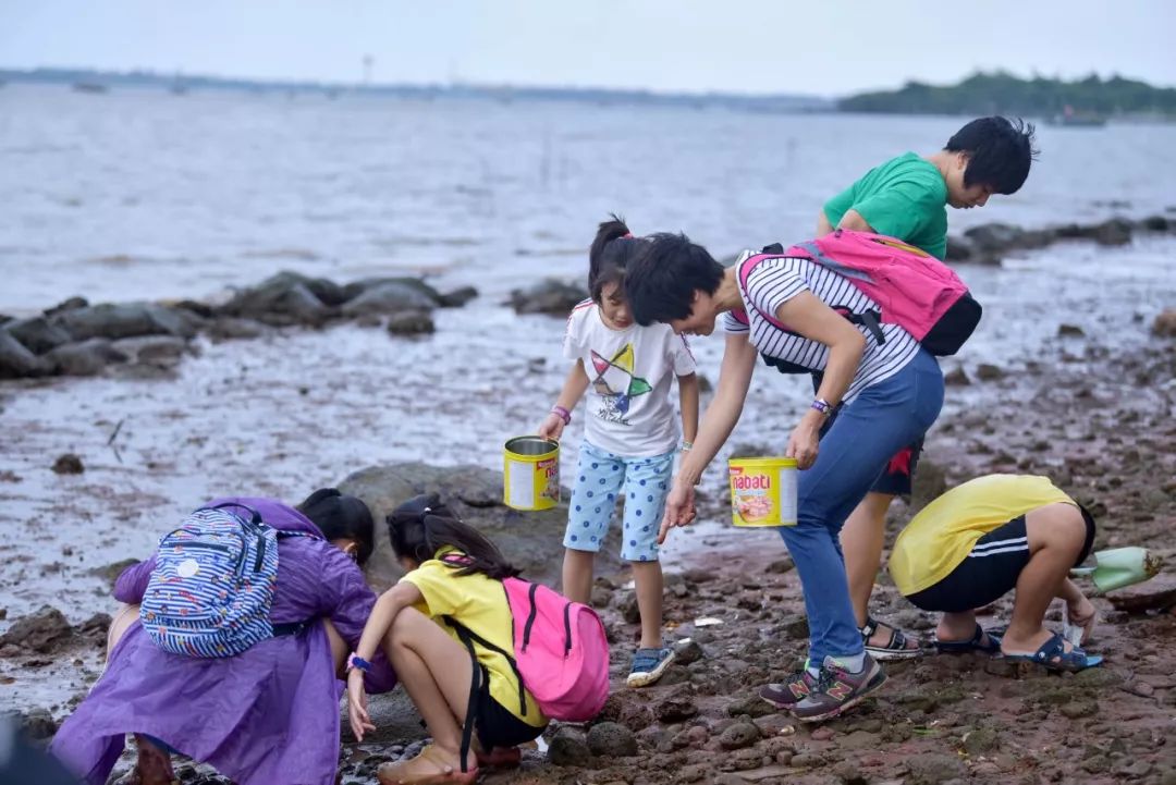 孩子喊你去秋游:东寨港赶海抓螃蟹啦!