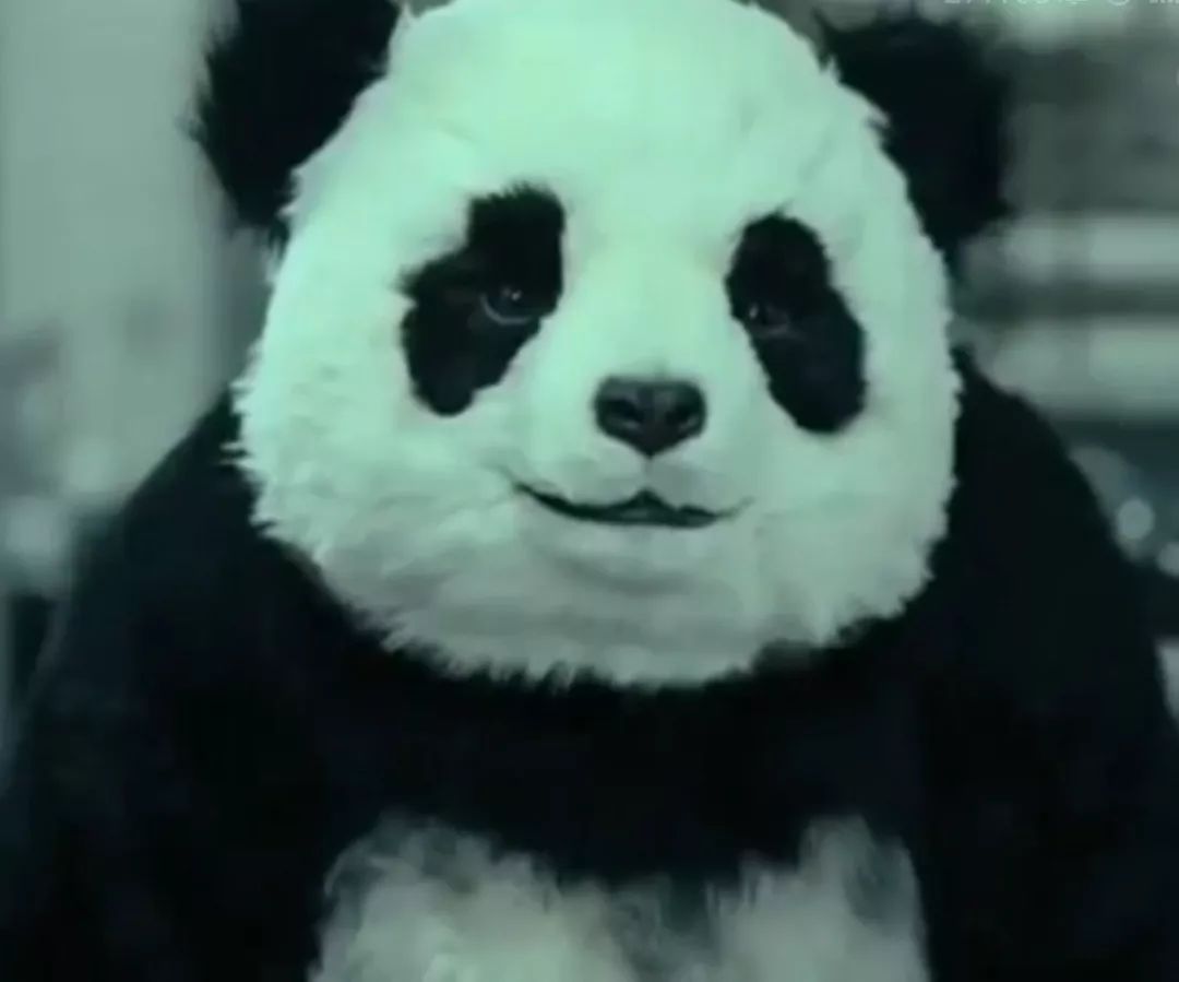 熊猫表情包 - 堆糖，美图壁纸兴趣社区
