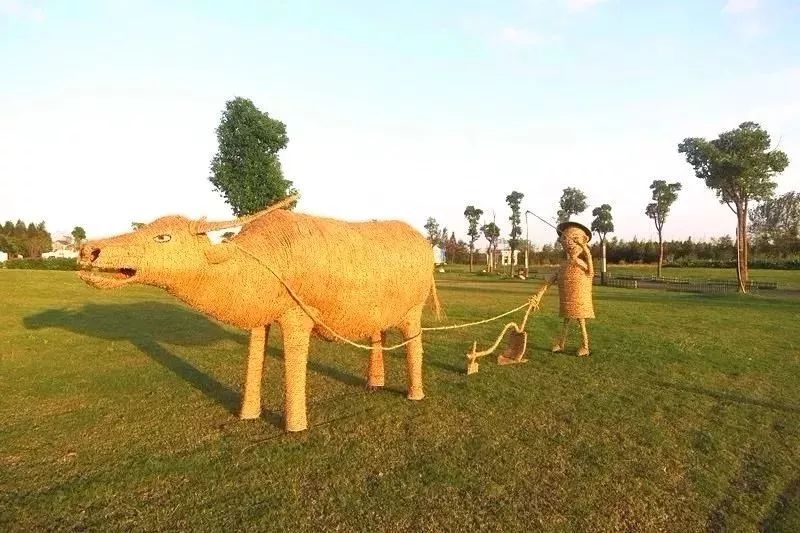 崇明稻草文化节即将开始,一起追忆逝水年华