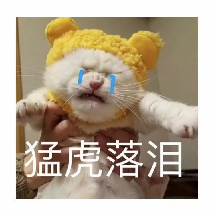 连挑战的机会都miu的团子猛虎落泪