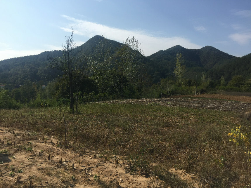 湖北保康名穴莲花地王君植大师实地考察黄绍谷风水