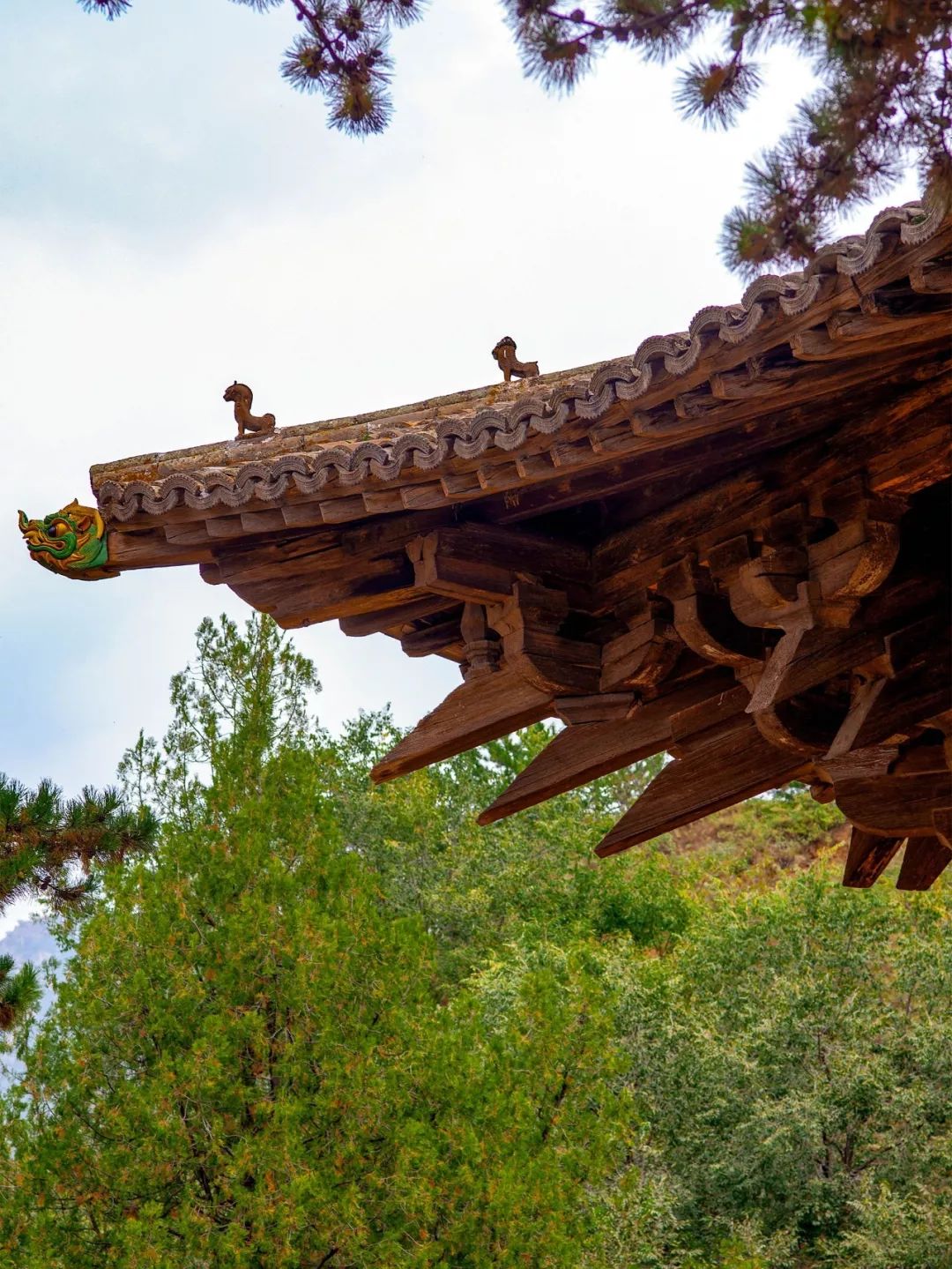 中国第一国宝，藏在山西深山里 佛光寺