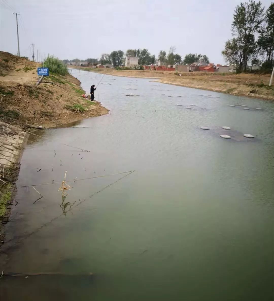 它是将高效生物膜污水处理技术运用于河道污染治理中, 集曝气复氧