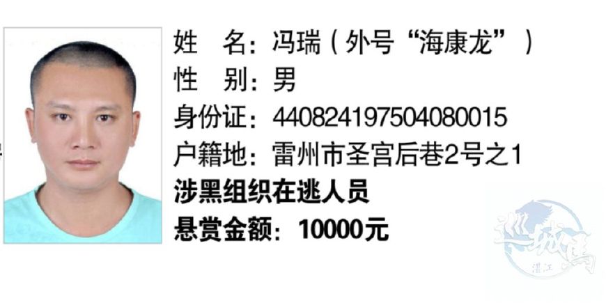 湛江公安就遂溪一涉黑团伙13名涉案在逃人员发出悬赏通告