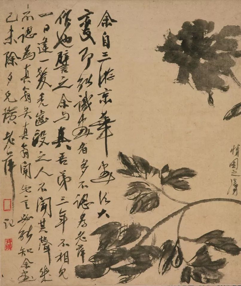 墨牡丹(局部) 纸本墨笔纵62厘米 横52厘米 1920年 中国美术馆藏徐渭引