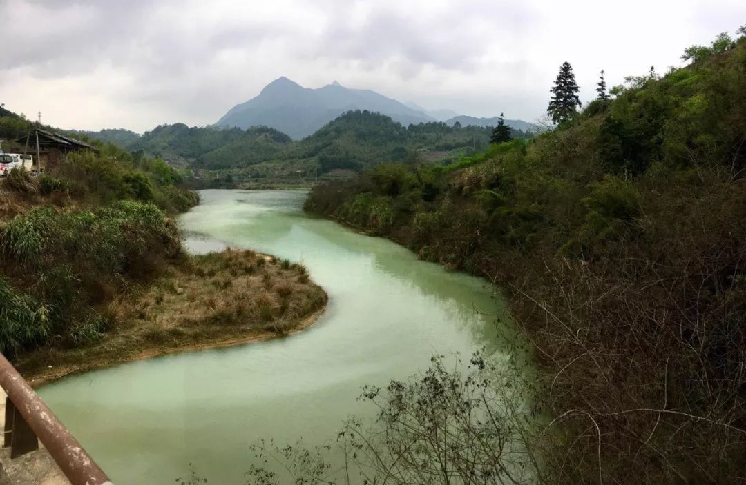 峰口镇人口_峰口镇旭日宾馆(3)