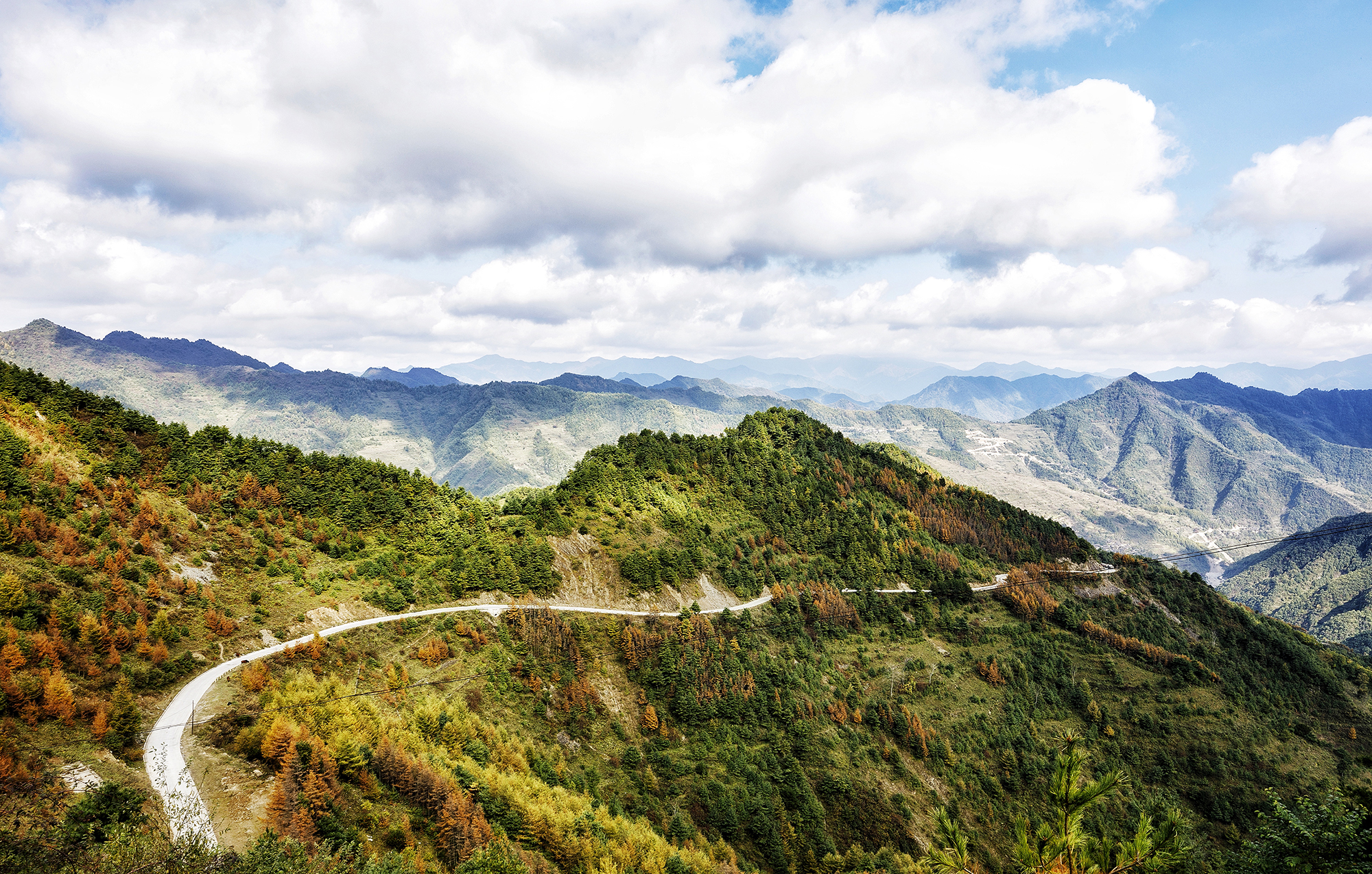 白龙江畔好风景, 幸福果撑起陇南农民致富梦